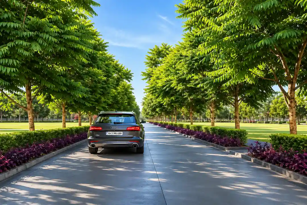 Road View